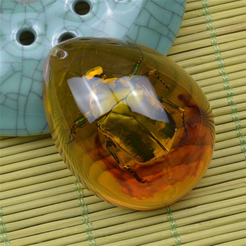 천연 거친 나비 호박석 곤충 표본 펜던트 목걸이, 보석 - Resin Art Necklace 리뷰 및 가격