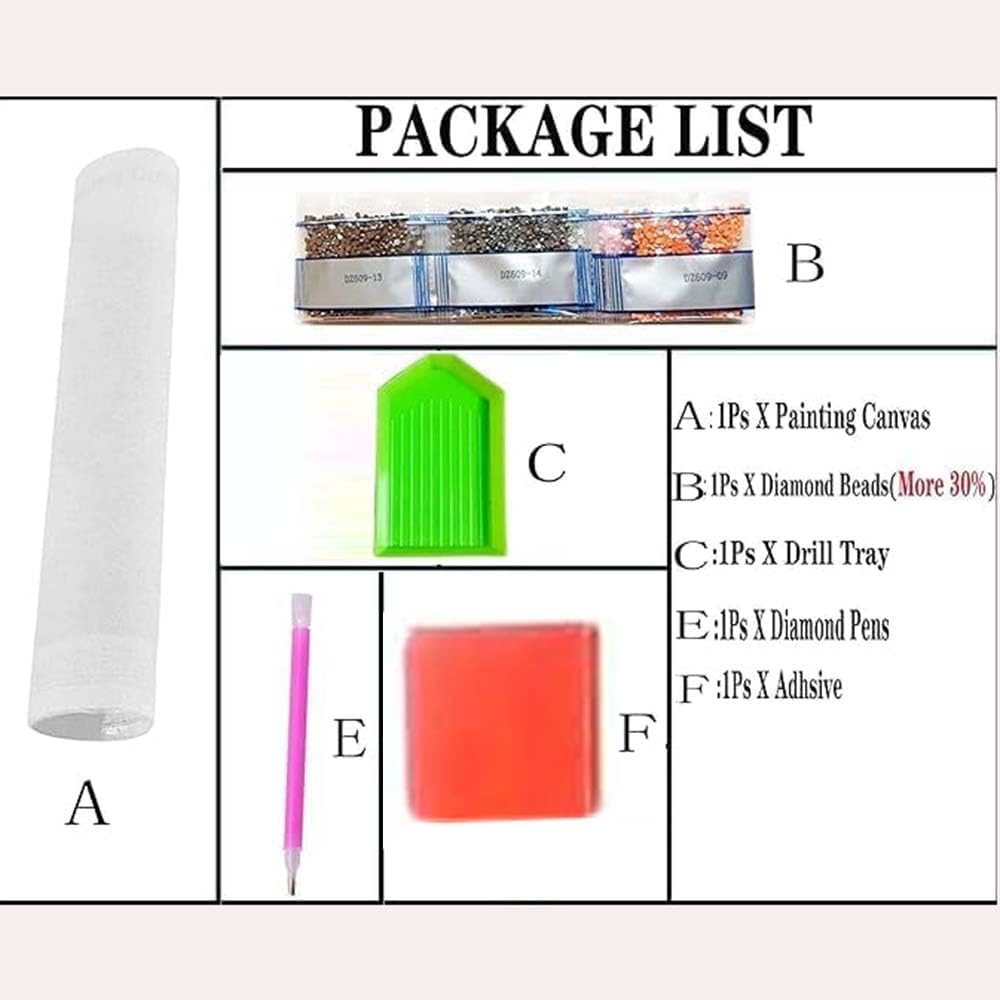 바다거북 동물 다이아몬드 페인팅 키트 (성인 초보자용  - Resin Art Kit For Beginners 리뷰 및 가격