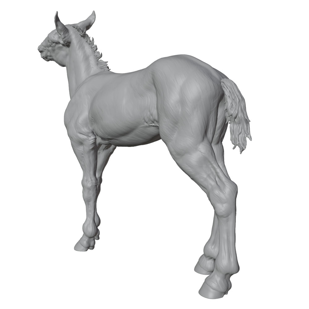 고화질 인쇄, 사실적인 말 미니어처 레진 조형물, 수작 - Resin Art Kit For Beginners 리뷰 및 가격