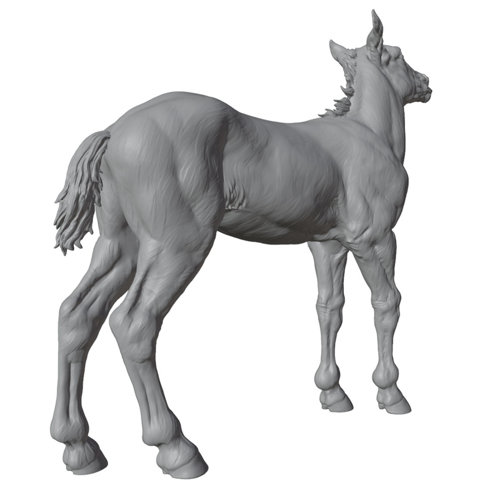 고화질 인쇄, 사실적인 말 미니어처 레진 조형물, 수작 - Resin Art Kit For Beginners 리뷰 및 가격